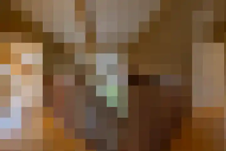 Trechterbeker 41 Borger thumbnail 18