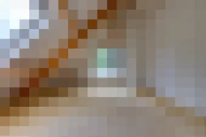Trechterbeker 41 Borger thumbnail 19