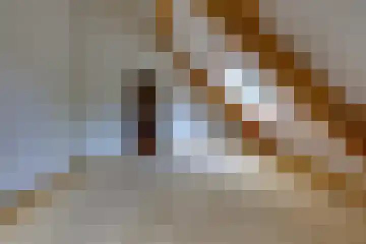 Trechterbeker 41 Borger thumbnail 20