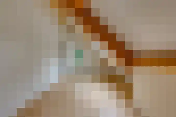 Trechterbeker 41 Borger thumbnail 21