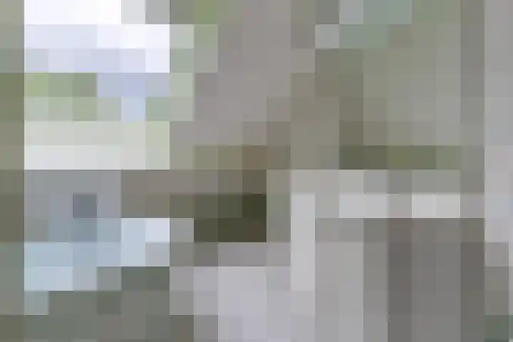 Trechterbeker 41 Borger thumbnail 24