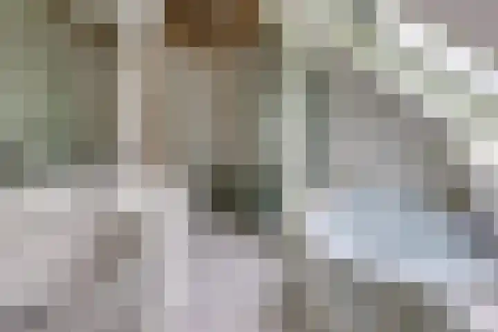 Trechterbeker 41 Borger thumbnail 25