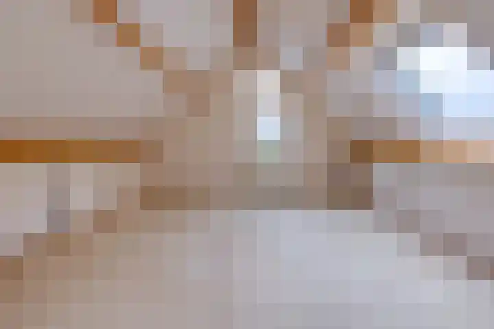 Trechterbeker 41 Borger thumbnail 26