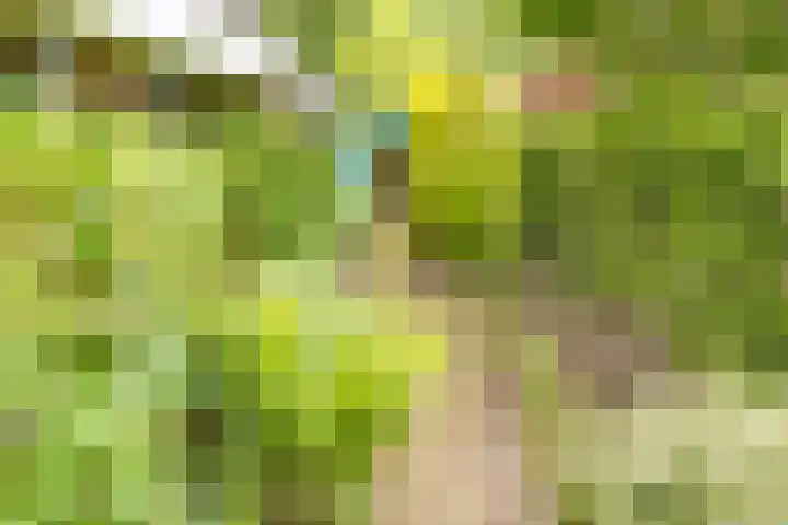 Trechterbeker 41 Borger thumbnail 28