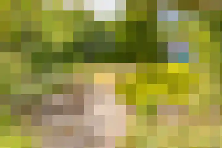 Trechterbeker 41 Borger thumbnail 31