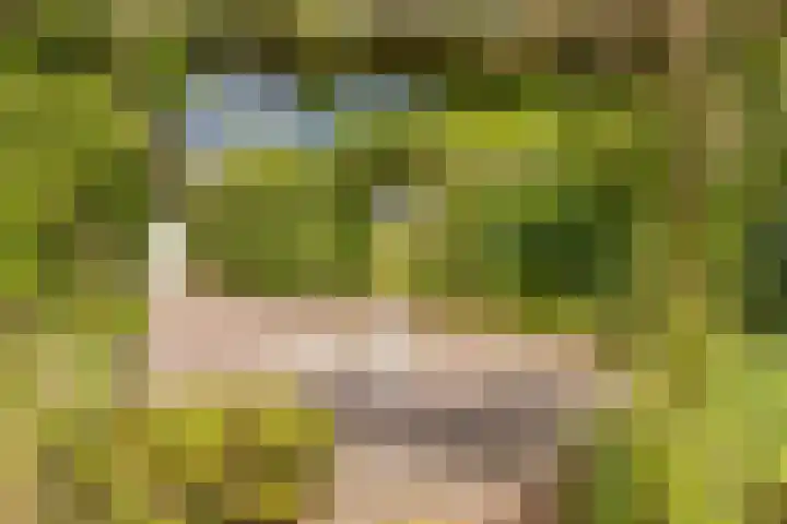 Trechterbeker 41 Borger thumbnail 32