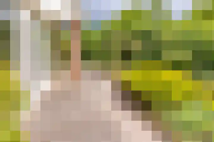 Trechterbeker 41 Borger thumbnail 33