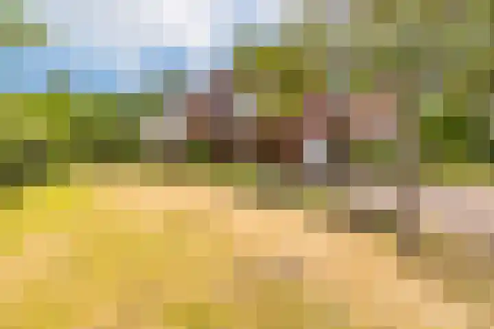 Trechterbeker 41 Borger thumbnail 34