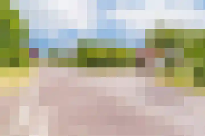 Trechterbeker 41 Borger thumbnail 36