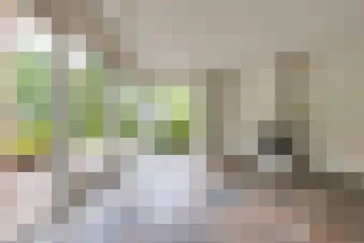 Trechterbeker 41 Borger thumbnail 5