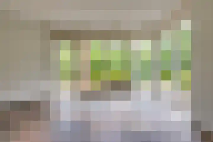 Trechterbeker 41 Borger thumbnail 6