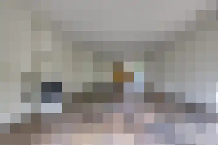 Trechterbeker 41 Borger thumbnail 7