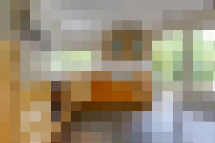 Trechterbeker 41 Borger thumbnail 9