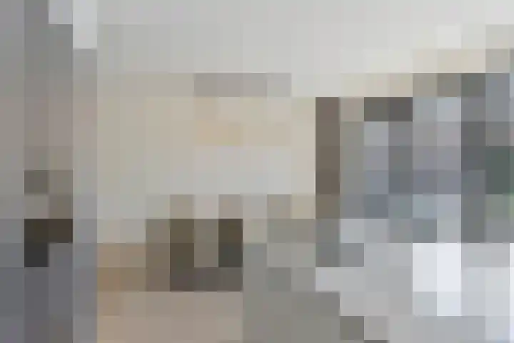 Trechterbeker 64 Dalfsen thumbnail 12
