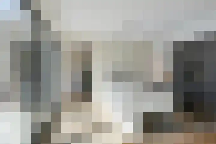 Trechterbeker 64 Dalfsen thumbnail 13