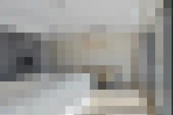 Trechterbeker 64 Dalfsen thumbnail 14