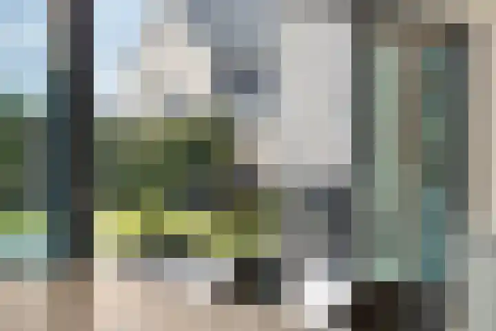 Trechterbeker 64 Dalfsen thumbnail 15