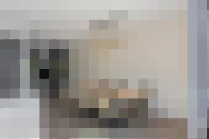 Trechterbeker 64 Dalfsen thumbnail 17