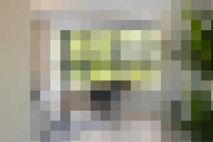 Trechterbeker 64 Dalfsen thumbnail 19