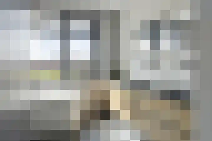 Trechterbeker 64 Dalfsen thumbnail 26