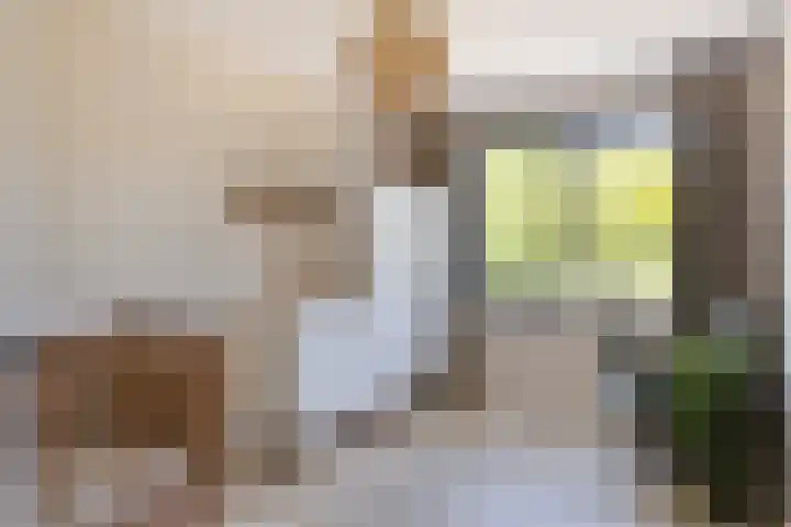 Trechterbeker 64 Dalfsen thumbnail 30