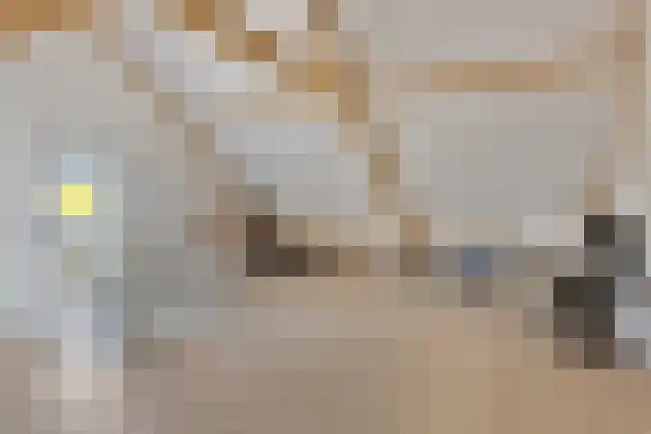 Trechterbeker 64 Dalfsen thumbnail 31