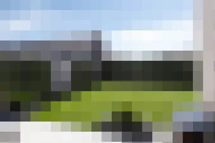 Trechterbeker 64 Dalfsen thumbnail 34