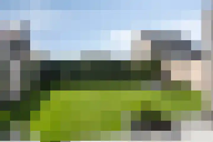 Trechterbeker 64 Dalfsen thumbnail 35