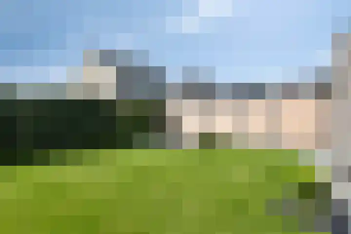 Trechterbeker 64 Dalfsen thumbnail 36
