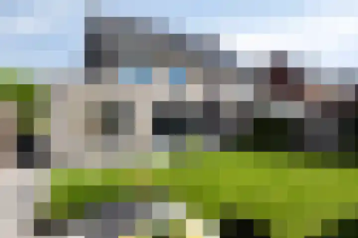 Trechterbeker 64 Dalfsen thumbnail 38