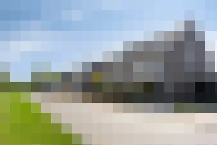 Trechterbeker 64 Dalfsen thumbnail 4