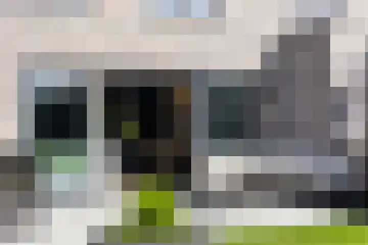 Trechterbeker 64 Dalfsen thumbnail 41