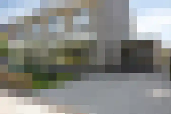 Trechterbeker 64 Dalfsen thumbnail 43
