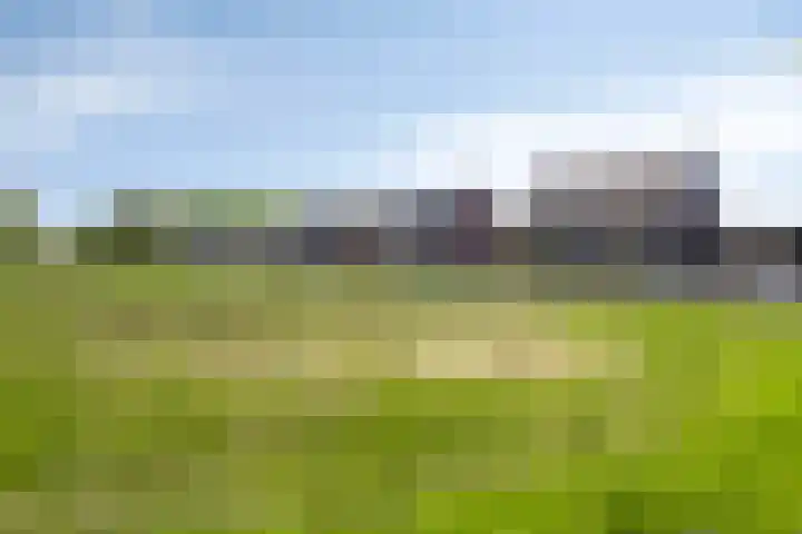 Trechterbeker 64 Dalfsen thumbnail 45