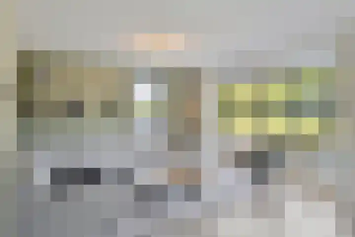 Trechterbeker 64 Dalfsen thumbnail 6