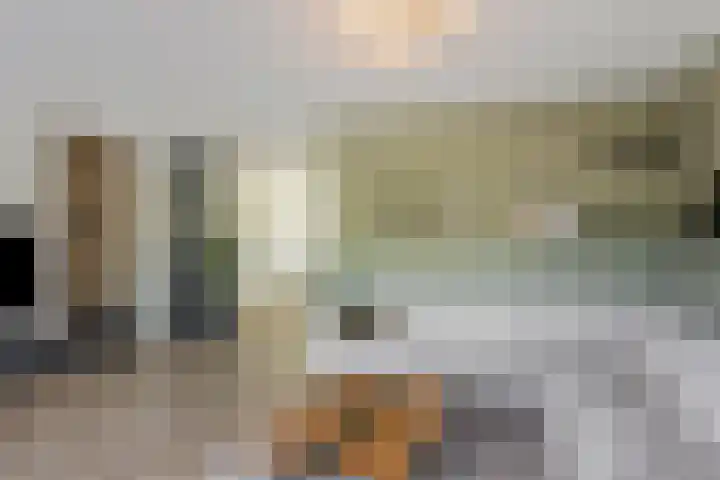 Trechterbeker 64 Dalfsen thumbnail 7
