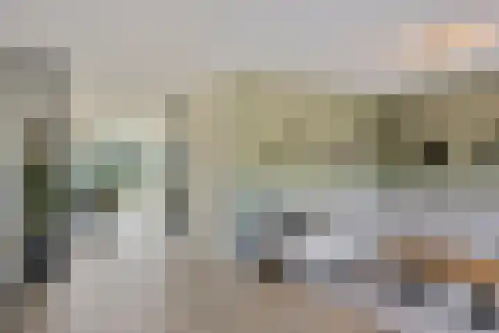 Trechterbeker 64 Dalfsen thumbnail 8