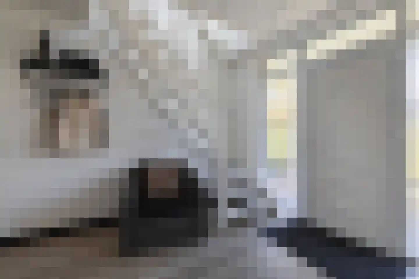 Trechterbeker 65 Borger thumbnail 15
