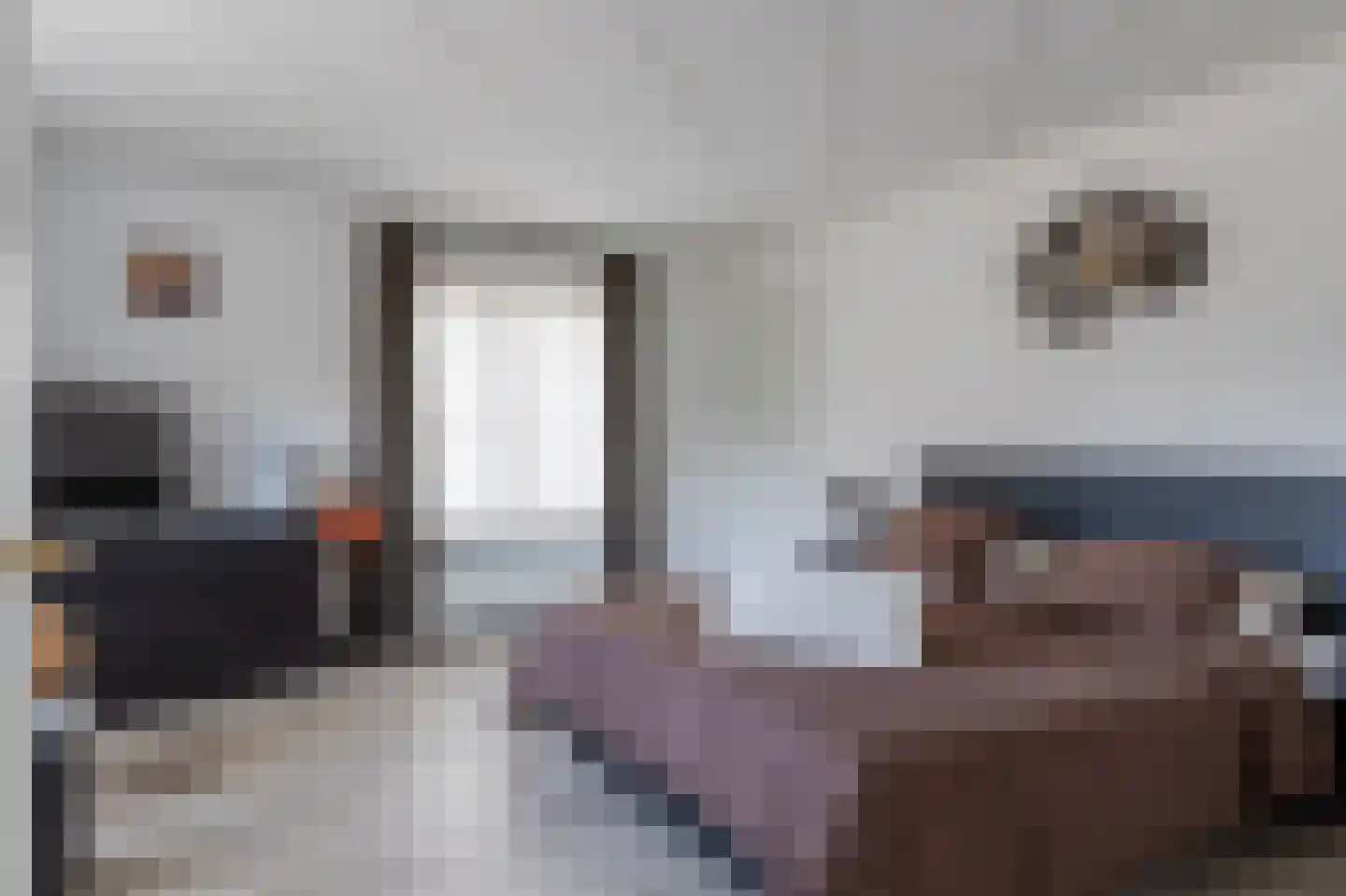 Trechterbeker 65 Borger thumbnail 17