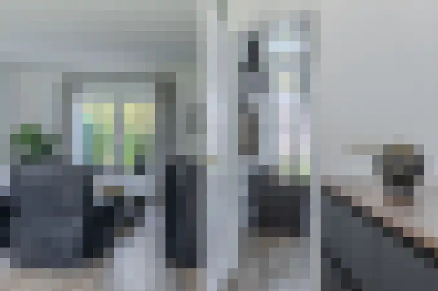 Trechterbeker 65 Borger thumbnail 19