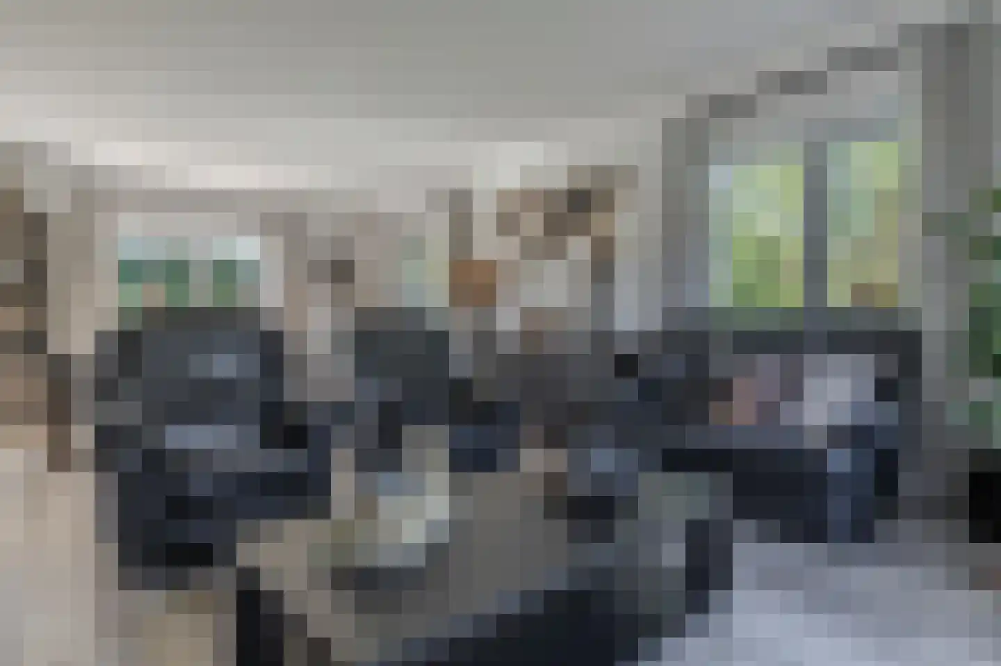Trechterbeker 65 Borger thumbnail 25