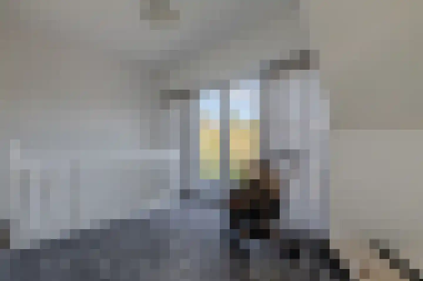 Trechterbeker 65 Borger thumbnail 34