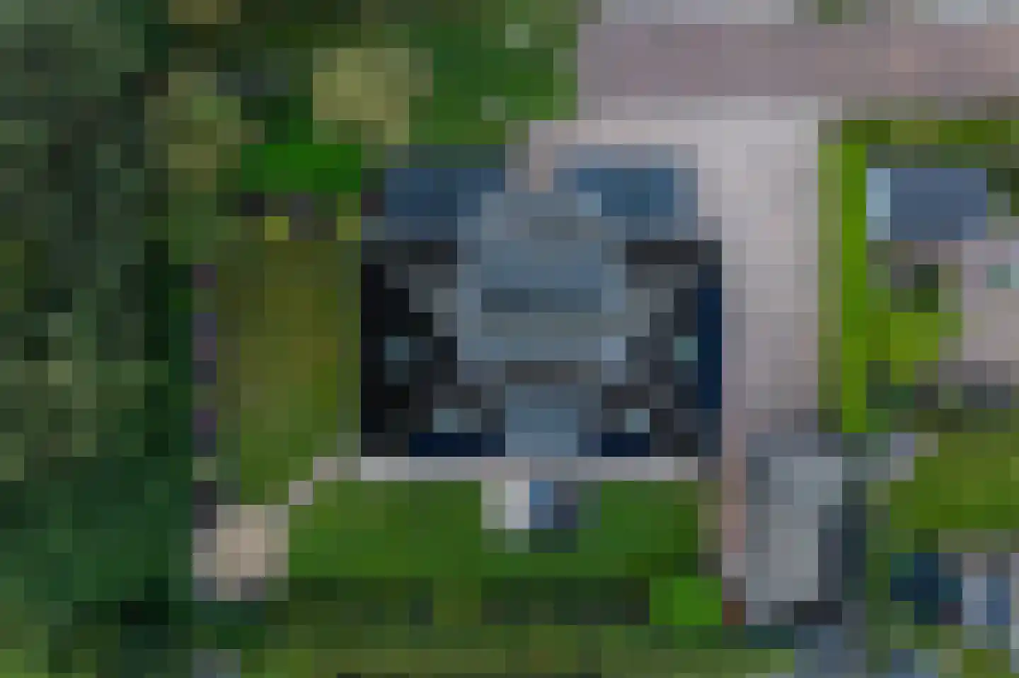 Trechterbeker 65 Borger thumbnail 4