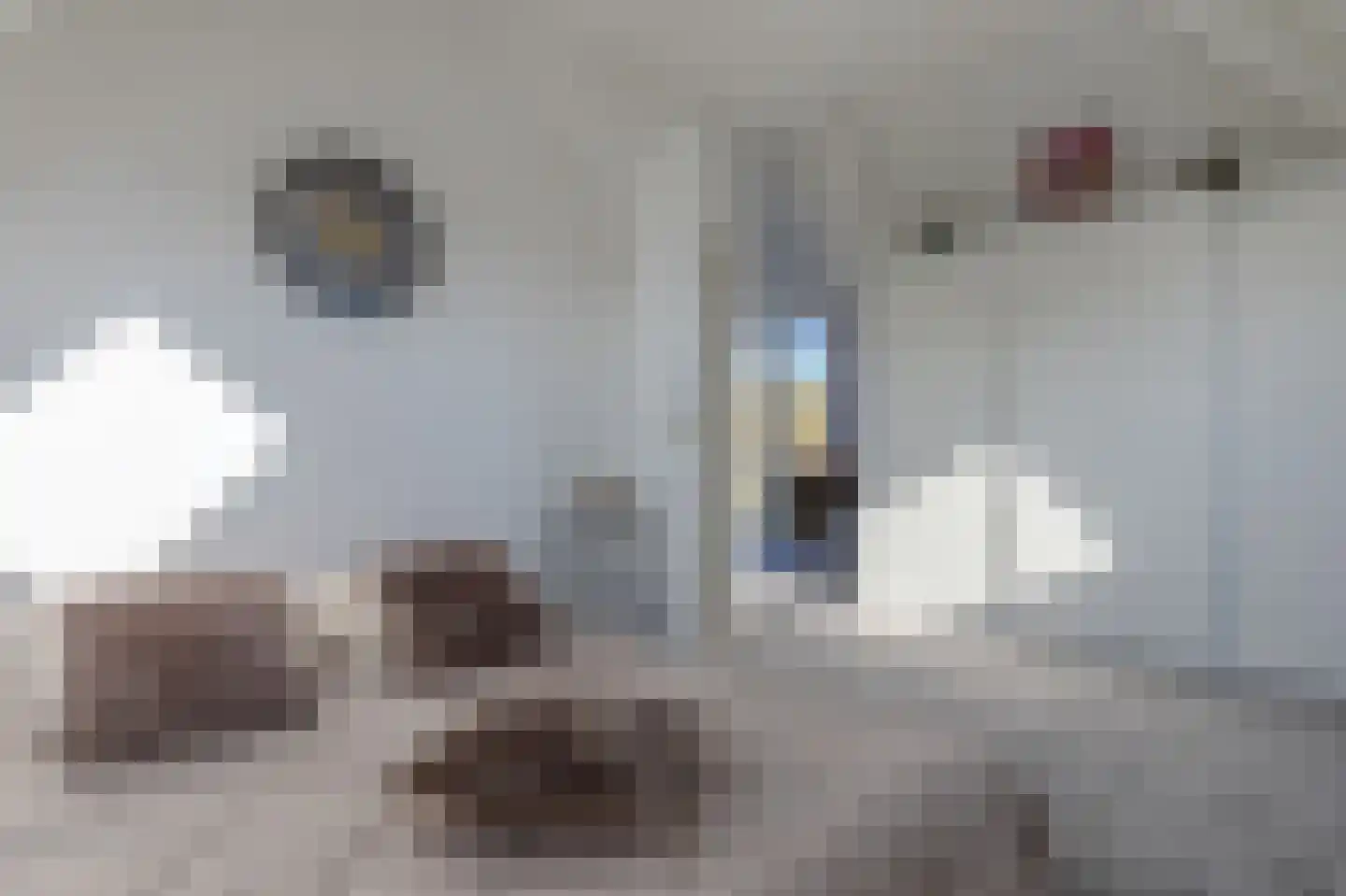 Trechterbeker 65 Borger thumbnail 40