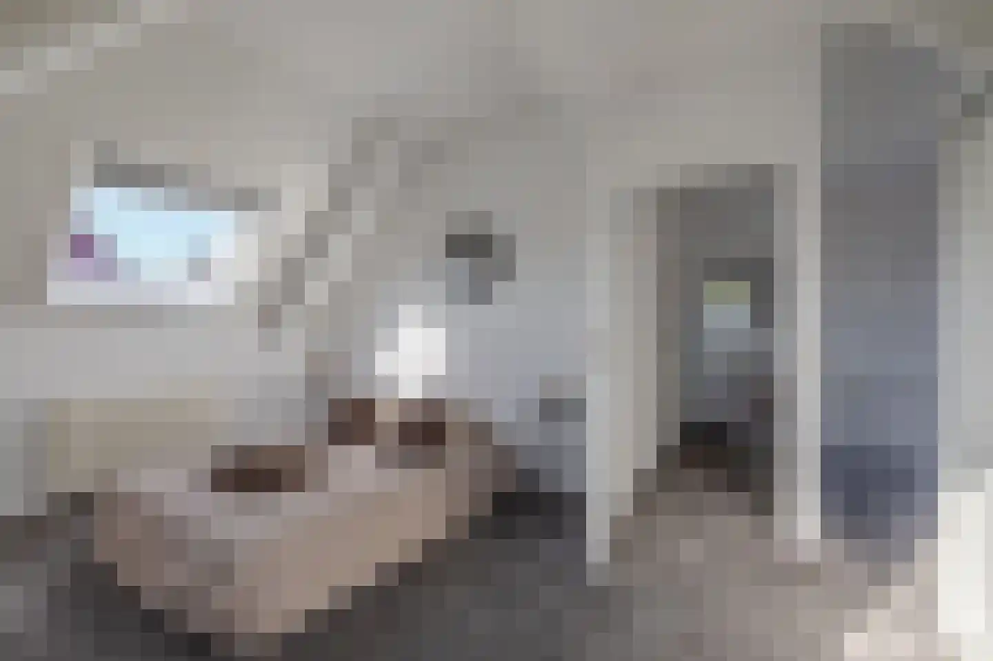 Trechterbeker 65 Borger thumbnail 41