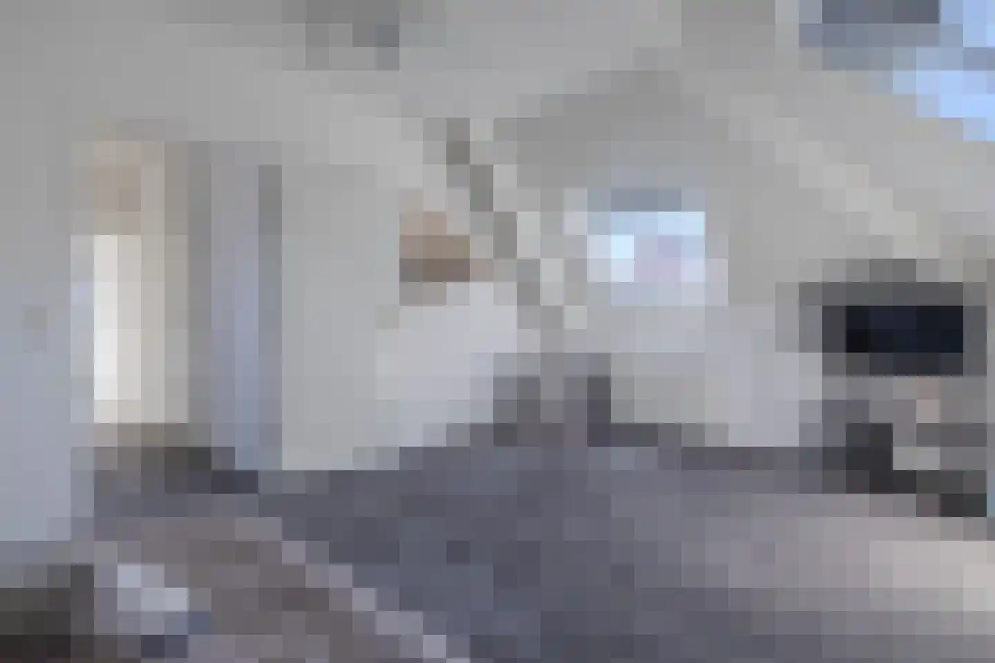 Trechterbeker 65 Borger thumbnail 46