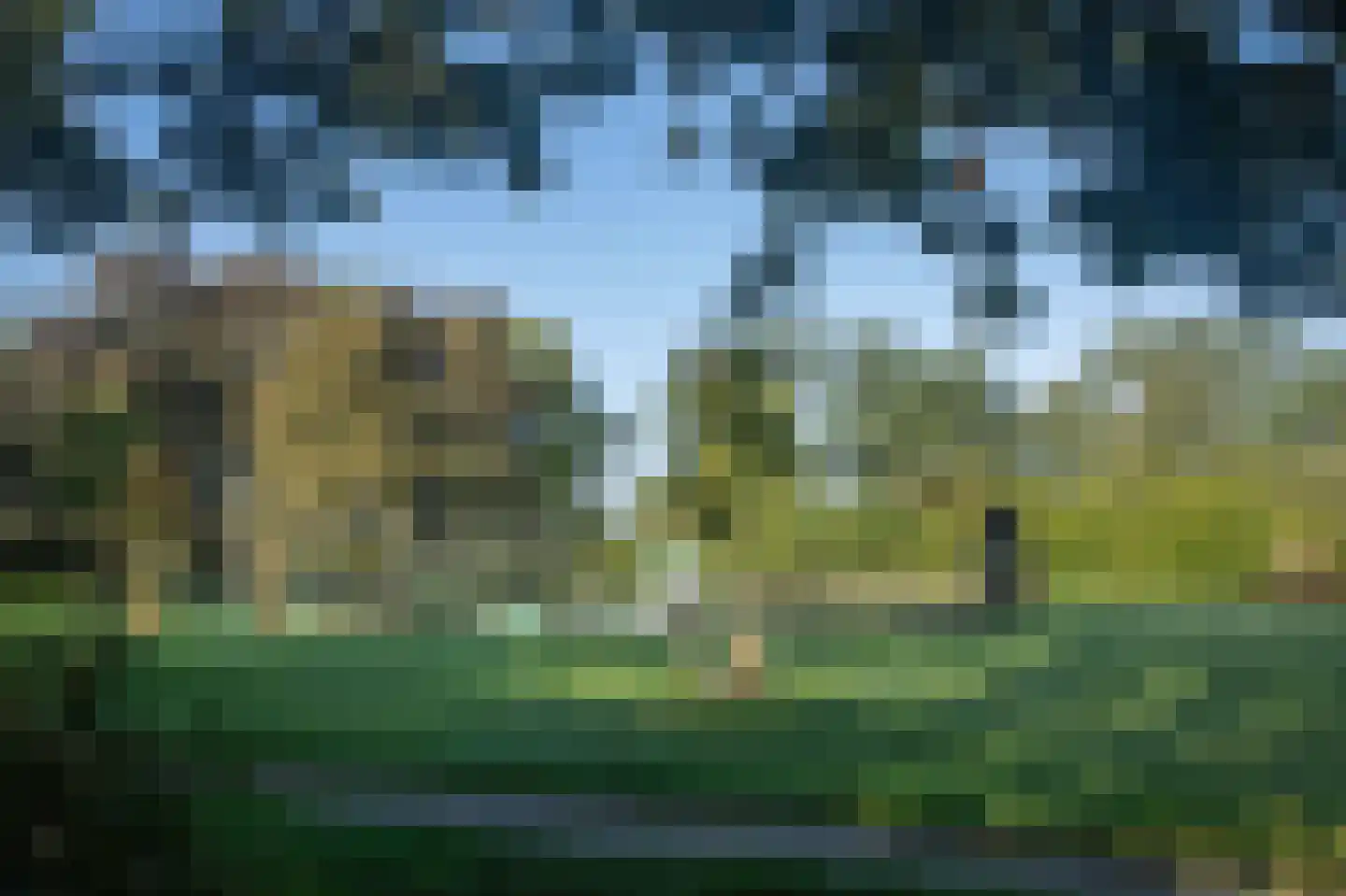 Trechterbeker 65 Borger thumbnail 5