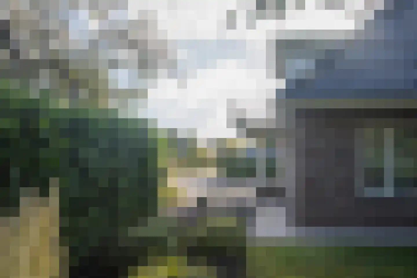 Trechterbeker 65 Borger thumbnail 54