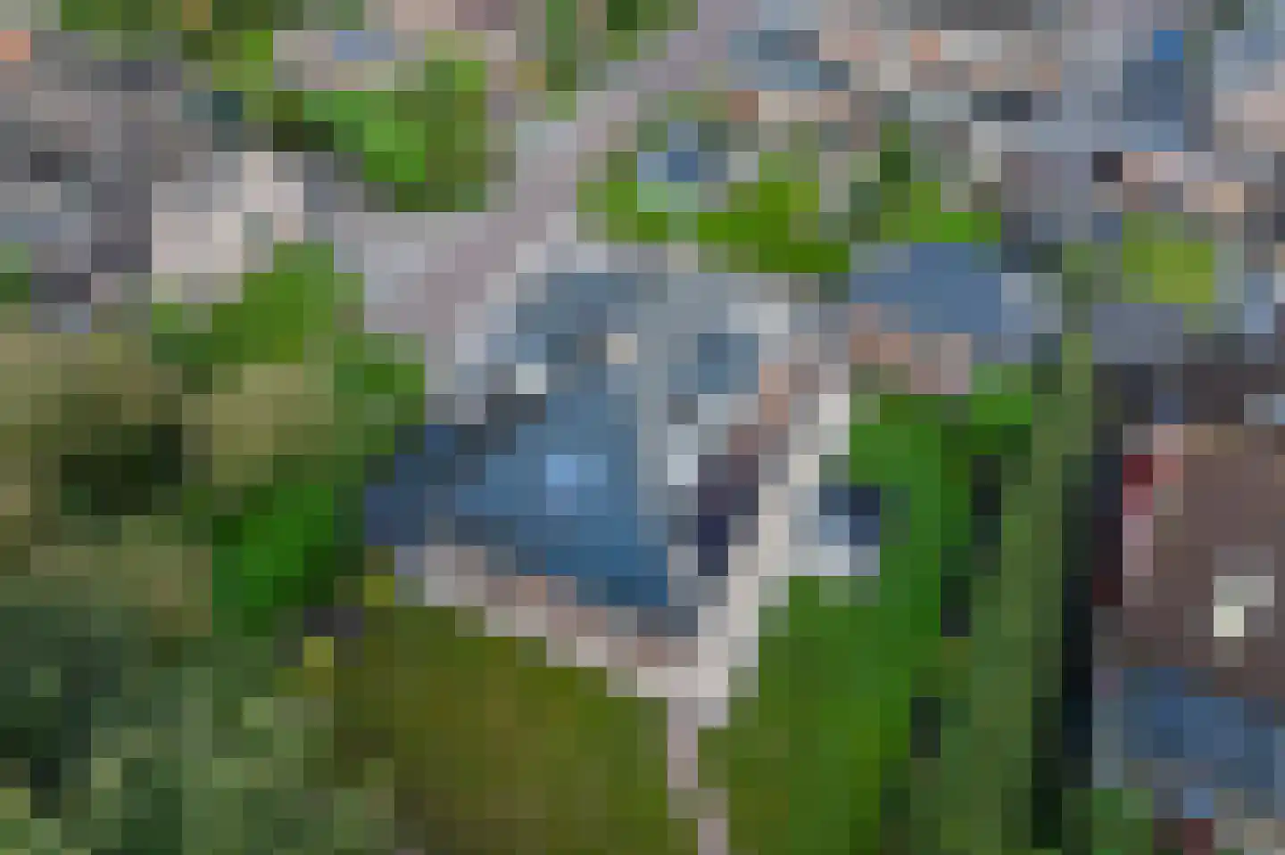 Trechterbeker 65 Borger thumbnail 55