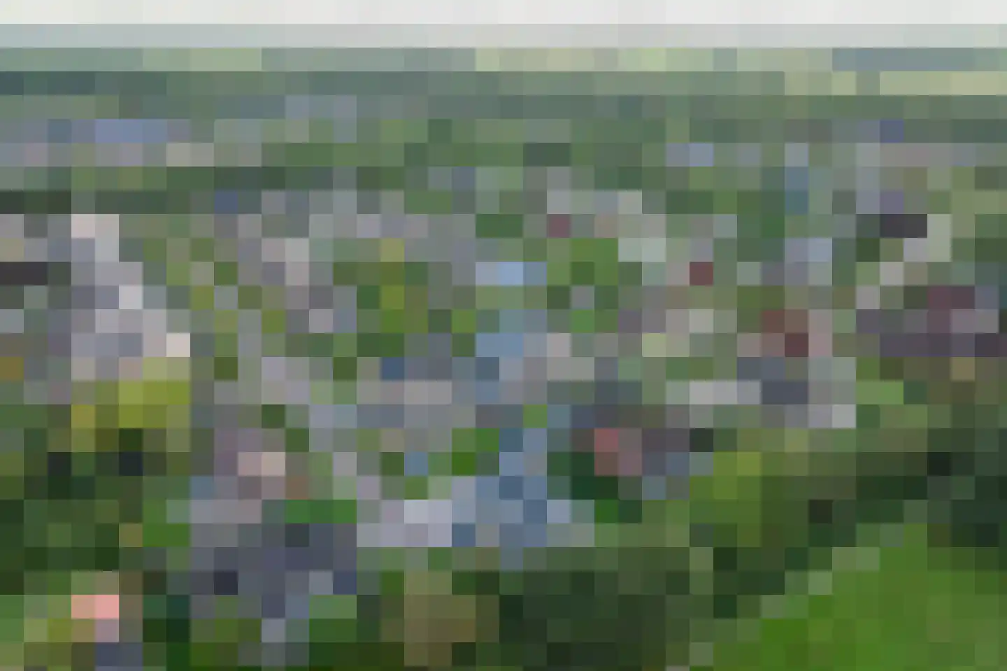 Trechterbeker 65 Borger thumbnail 56
